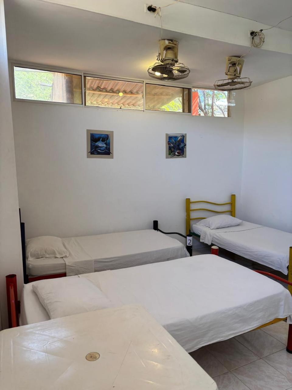 Sierraventura Hostel Taganga Extérieur photo